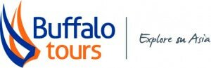 Buffalo Tours logo Buffalo Tours logo