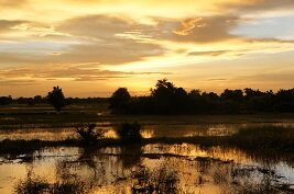 Los paisajes encantadores de Battambang al ponerse el sol