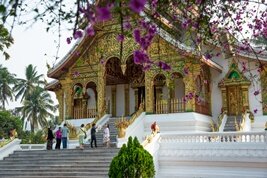 Explore los numerosos templos budistas de Luang Prabang