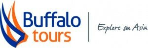 Buffalo Tours logo